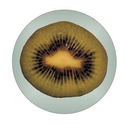Kiwi Round Badge w/ Bar Pin (2 1/2")