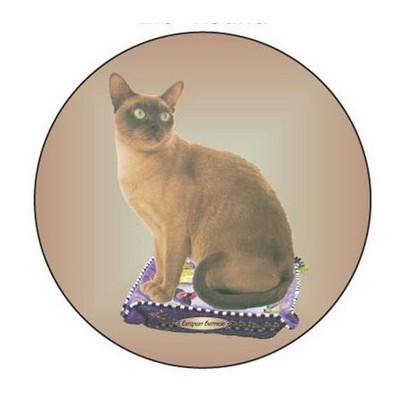 European Burmese Cat Round Metal Photo Magnet (2 1/2")