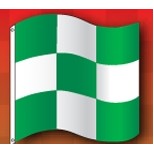 Green & White Checkered Automotive Specialty Flag (3'x3')