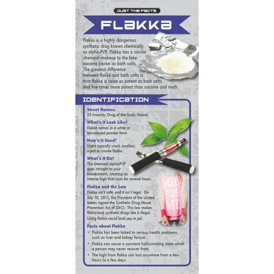 Flakka Just the Facts Rack Card
