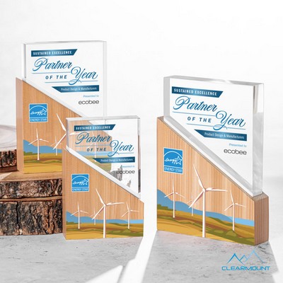 Rocheaux VividPrint™ Award