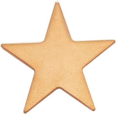 1" Die-Struck Gold Star Pin