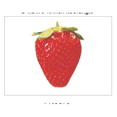 Strawberry Rectangle Badge w/ Bar Pin (2 1/2"x3 1/2")