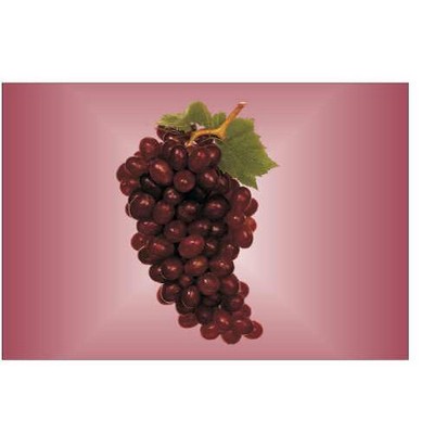 Purple Grapes Rectangle Metal Photo Magnet (2"x3")