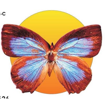 Blue & Brown Butterfly Acrylic Coaster w/Felt Back