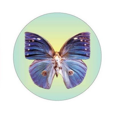Blue Butterfly Round Metal Photo Magnet (2 1/2")