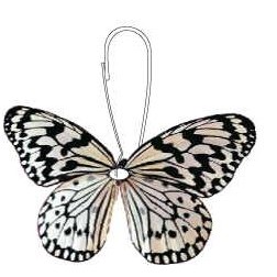 Black & White Butterfly Zipper Pull