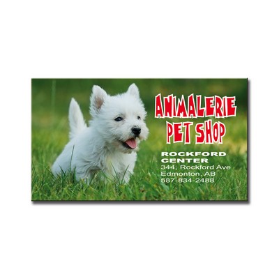 Rectangle Indoor Use Magnet (2"x3 1/2")