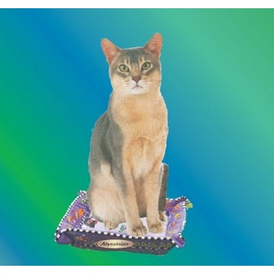 Abyssinian Cat Metal Photo Magnet (2 1/2"x2 1/2")