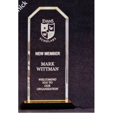 Beveled Rectangle Acrylic Award w/Angled Top (4" x 6 ½")