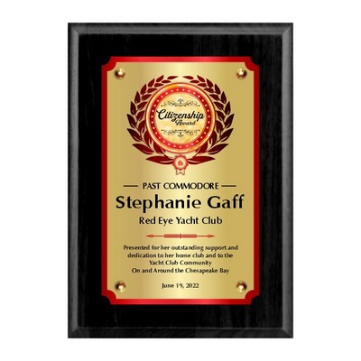 9" x 12" Black plaque with double plates and cone heads