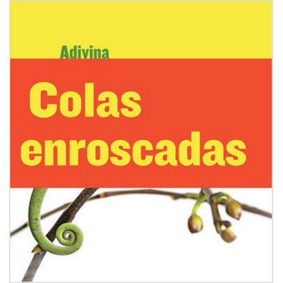 Colas enroscadas (Twisty Tails) (Camaleón (Chameleon)) (Spanish Edition)