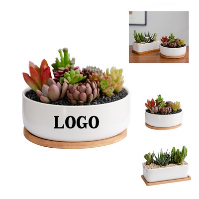 Ceramic Flower Pot for Succulents