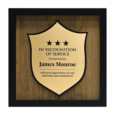 Newbury 10" x 10" Shield Award with Brushed Gold Plate