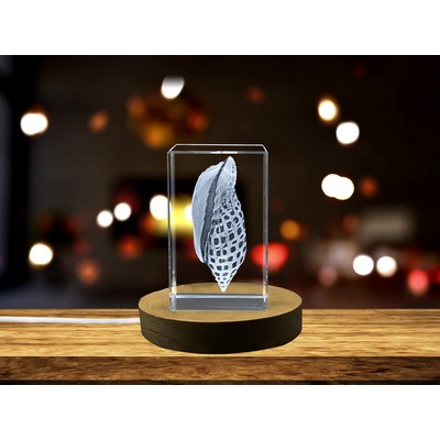 Junonia Seashell Engraved Crystal Trophy Award w/LED Base - Coastal Art