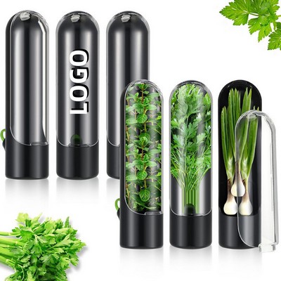 ABS Herb Vegetable Preservation Box