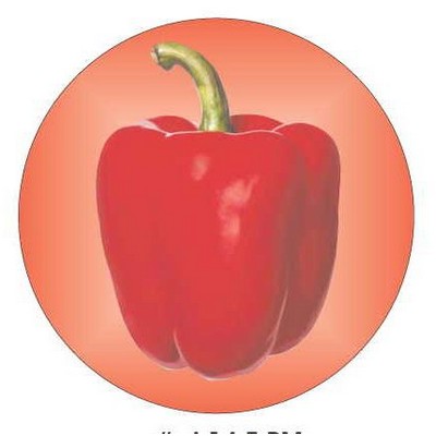 Bell Pepper Round Metal Photo Magnet (2 1/2")