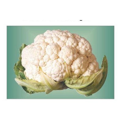 Cauliflower Rectangle Metal Photo Magnet (2"x3")