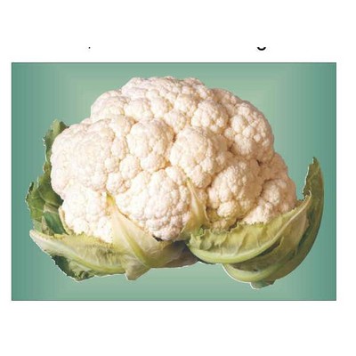 Cauliflower Metal Photo Magnet (2 1/2"x3 1/2")