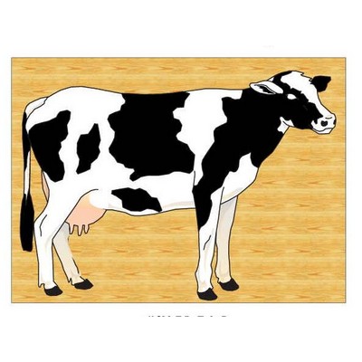Cow Rectangle Badge w/Bar Pin (2½"x3½")