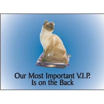 American Curl Cat Rectangle Hand Mirror (2½"x3½")