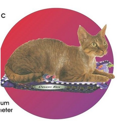 Devon Rex Cat Acrylic Coaster w/Felt Back