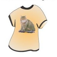 Exotic Shorthair Cat T-Shirt Mighty Mini Magnet