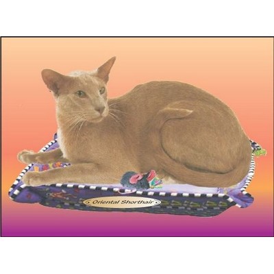 Oriental Shorthair Cat Rectangle Badge w/ Bar Pin (2"x3")