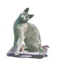 Russian Blue Cat Lapel Pin