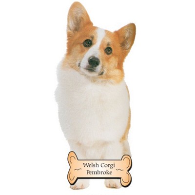 Welsh Corgi Dog Maxi Magnet (4 Square Inch)