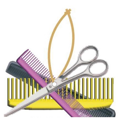 Beautician Combo Executive Ornament w/ Mirrored Back (10 Square Inch)