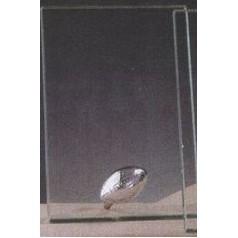 Clear Glass Award w/Silver Football Accent & Silver Plastic Plaque Mounts (4"x6.5")