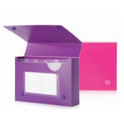 Assorted Neon Index Card Case (6 ¼" x 4" x 1")