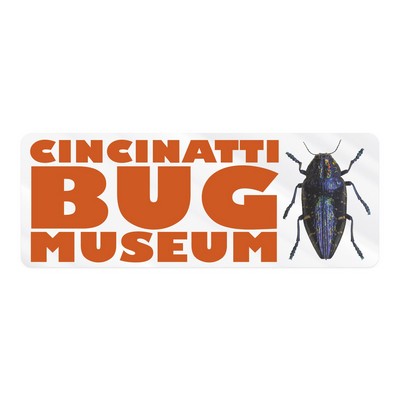 Rectangle Sticker | Round Corners | 3" x 8" | Clear Static | Static Face | Digital