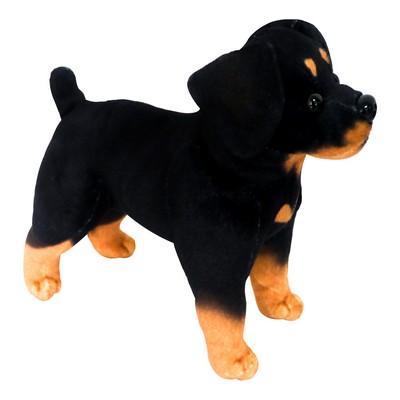 Standing Rottweiler