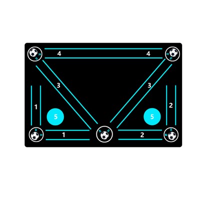 Soccer Training Mat