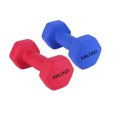 Hexagonal Dumbbell Hand Weights for Stability