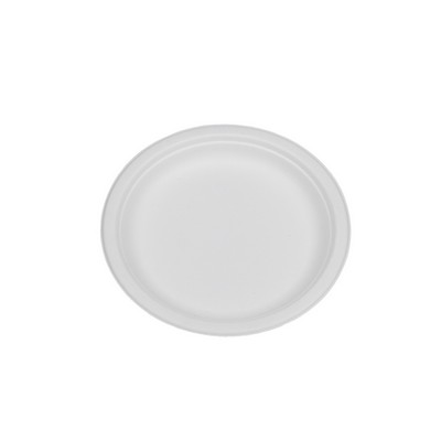 Sugarcane Bagasse Plates