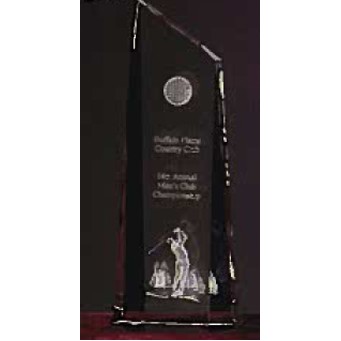 Custom Crystal Image in Glacier Pillar Award w/3D Logo/ Text (6")