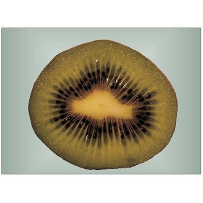 Kiwi Rectangle Badge w/ Bar Pin (2 1/2"x3 1/2")