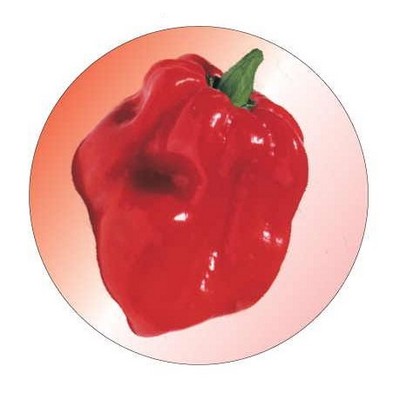 Red Habanero Pepper Round Badge w/ Bar Pin (2 1/2")
