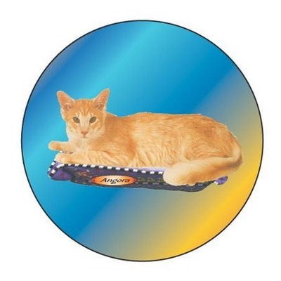 Angora Cat Round Metal Photo Magnet (2 1/2")