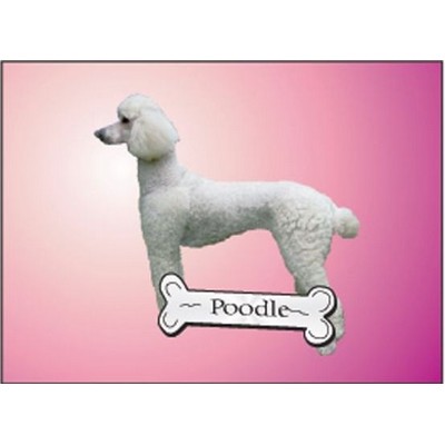 Poodle Dog Rectangle Metal Photo Magnet (2"x3")