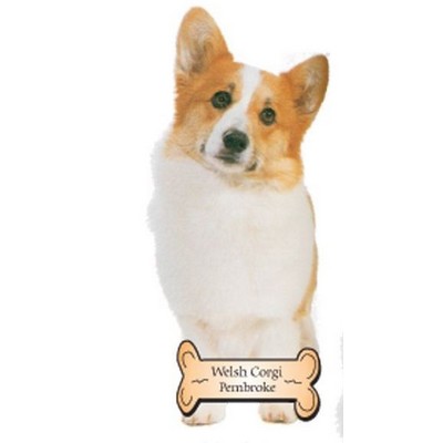 Welsh Corgi Dog Maxi Magnet (8 Square Inch)