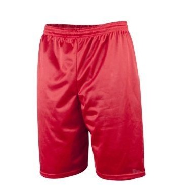 Adult Lined Micro Mesh All Sport Athletic Short w/5" Inseam