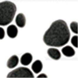 Paw Print Curling Ribbon (1/4" x 250 Yards)