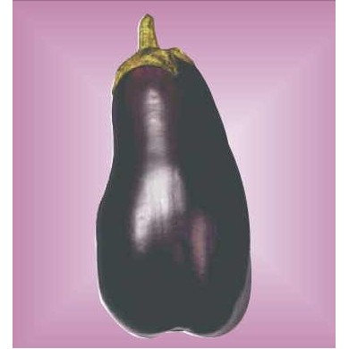 Eggplant Metal Photo Magnet (2 1/2"x2 1/2")