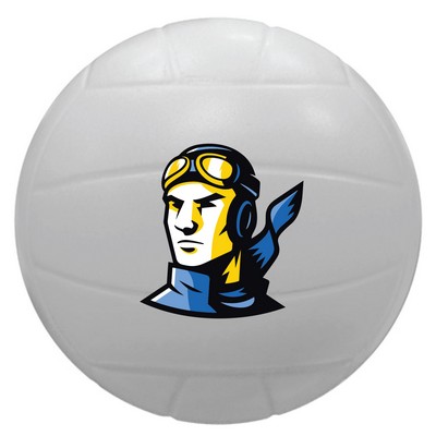 Volleyball Stress Ball
