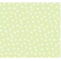 Speckled Celery Double Ream Designer Tissue Paper