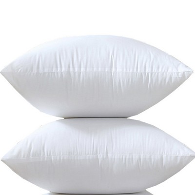 Hotel Cushion/Pillow